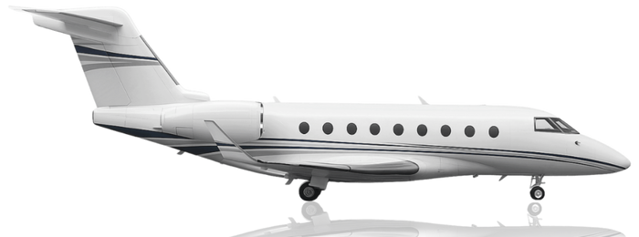 Private jet charters, private jet charter near me, Pet-friendly private jet charter cabin area with dog